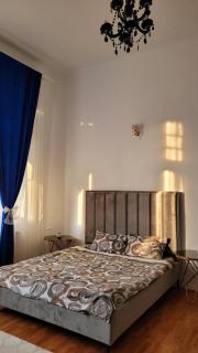 Opera Victoriei Residence - Ultracentral Cozy accommodation - Timişoara - 4