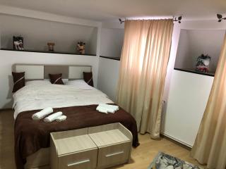 Serban Home Arenele Romane Marius Nasta - Bucarest - 9