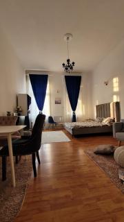 Opera Victoriei Residence - Ultracentral Cozy accommodation - Timişoara - 8