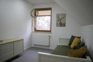 Danielówka w lesie - 3