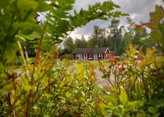 Ekologiska Fru Gran B&B i Tiveden - Gårdsjö - 6