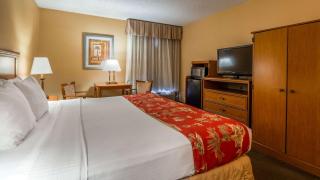 Best Western Galaxy Inn - Dover - 1