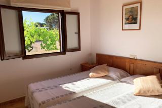 Aptos rurales Can Pep de Sa Barda - Viñedos y tranquilidad - San Francisco Javier - 8