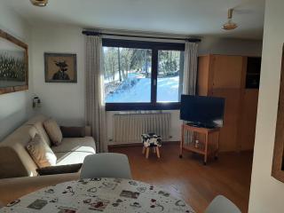 MdC Apartment - Madonna di Campiglio - 5
