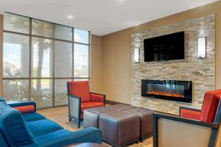 Comfort Suites Byron Warner Robins - Byron - 7