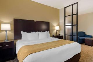 Comfort Suites Byron Warner Robins - Byron - 3