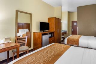 Comfort Inn & Suites North Aurora - Naperville - Aurora - 7