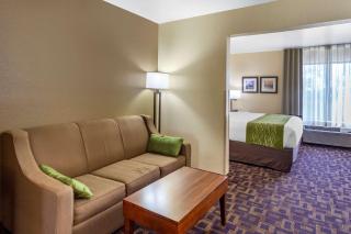 Comfort Inn & Suites North Aurora - Naperville - Aurora - 3
