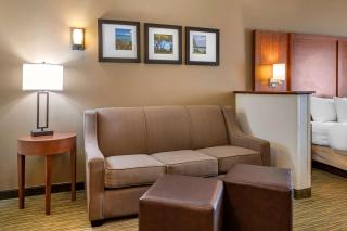 Comfort Suites North - Elkhart - 6
