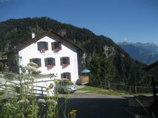 on a quiet location, beautiful, spacious holidayhouse, only for holidays, with a fantastic view, perfect for skiing, walking and hiking - Scheid - 0