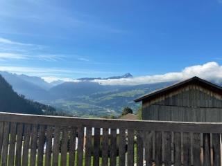 on a quiet location, beautiful, spacious holidayhouse, only for holidays, with a fantastic view, perfect for skiing, walking and hiking - Scheid - 7