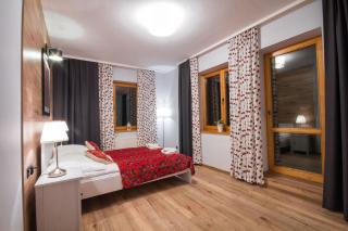 ApartSerwis - Apartament Orkana Centrum - Zakopane - 8
