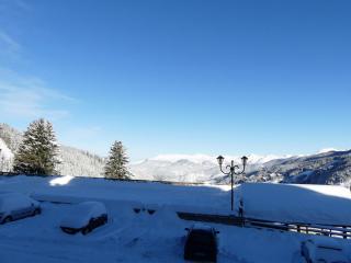 Appartement au pied des pistes, proche commerces, 4 pers, Wi-Fi gratuit, animaux admis - FR-1-182-201 - Les Allues - 2