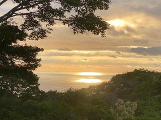Tree of Life Cabinas - Dominical - 9