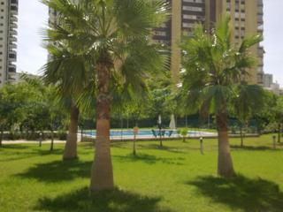 SOLO FAMILIAS TORRESOL - Benidorm - 2