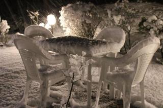 Le Conifere - 2