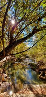 Saluda Alta - Castril - 6