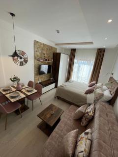 Snow peak Wellness & Spa, Kopaonik Milmari N5 - Kopaonik - 8