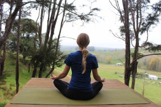 Farm Therapy- Farm Stay & Digital Detox Retreat -  - 5