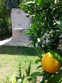 Cirali Irmak Hotel - Cıralı - 5