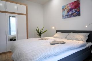Apartmán Zuzana - Nesvady - 9