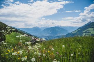 Ferienwohnungen Wiesbauer - 6