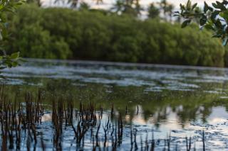 Rock Violet Lakefront Cabanas & Restaurent - 3