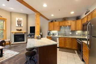 8767 Trappers Crossing condo - Keystone - 2