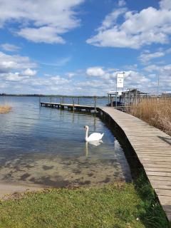 Hotel am Uckersee - Röpersdorf - 6