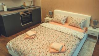 JACUZZI RELAX APARTMENT - Subotica - 5