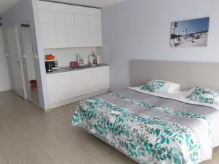 Apartament Czarna Góra Faktura VAT - Sienna - 4