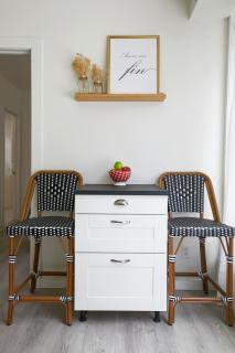 Rosemont Oasis 1BR 2BA near Metro - 4