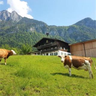 Selbstversorgerhütte Plafing - 1