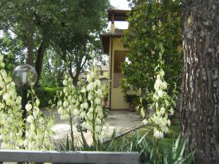 B&B Il Borgodmd - Rivotorto - 1