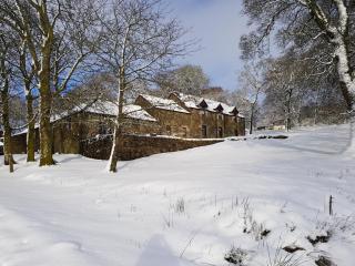 B&B Drum Farm - Stirling - 6