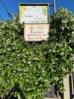 Bed and Breakfast Nonna Loreta - Formello - 3