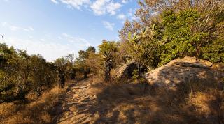 Rorkes Drift Lodge - Rorkeʼs Drift - 5