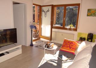 Apartments Amalia - mit WLAN und Sky in traumhafter Lage - Todtmoos - 5