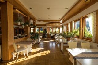 Berghotel und Restaurant Kräuter Chalet - Furtwangen - 5