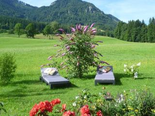 Ferienwohnungen Hollweger inkl. Chiemgaukarte - Ruhpolding - 6