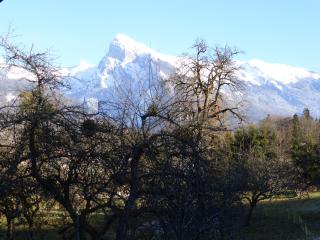 studio Morillon village - Morillon - 2