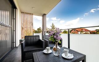 Apartmaji BANONIA " Štorkljin let " - Banovci - 7