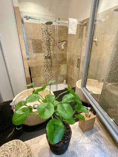 Maison de Roche-Uzès Centre Historique L' Ucetia - 4