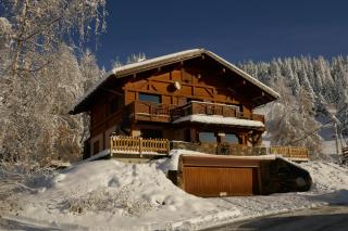Les Saisies côté Bisanne appartement dans chalet LE Népal - Les Saisies - 3