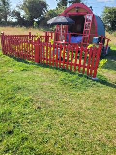 Cosy Glamping Pod Glamping in St Austell Cornwall - Lanivet - 9
