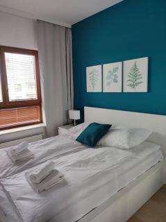 Lovely Apartment vis-a-vis Medicover and Paley Institute - Warsaw - 5