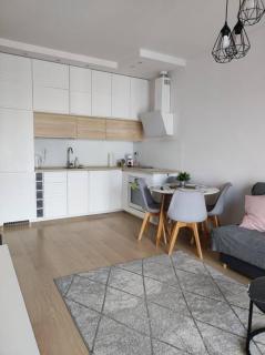 Lovely Apartment vis-a-vis Medicover and Paley Institute - Warsaw - 8