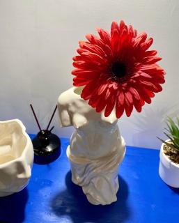 SECRET ROOM NAPLES historic center - 2