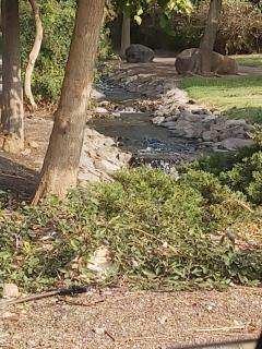 ZEHAVI Guest House - Lahavot HaBashan - 1