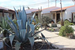 Comfortable 1-Bed Bungalow in Parque Holandes - La Oliva - 7